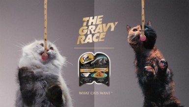 SHEBA® GRAVY INDULGENCE press release