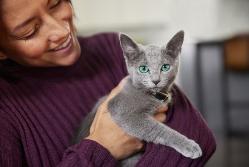 Cute cat at one of the many kitten milestones
