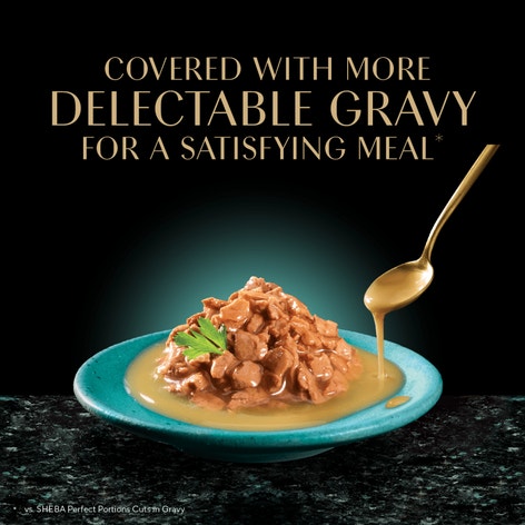 SHEBA® GRAVY INDULGENCE™ Chicken image 1