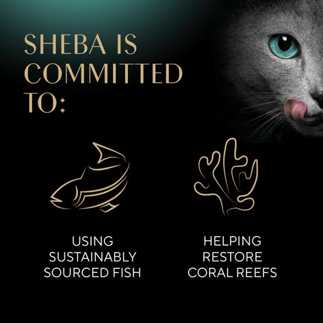 SHEBA® CAT TREATS Meaty Tender Sticks Chicken Flavor image 1