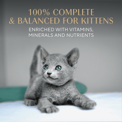 Sheba® Perfect Portions Kitten Wet Cat Food Pate Turkey Entree, 2.6 oz. Twin-Pack Tray image 1