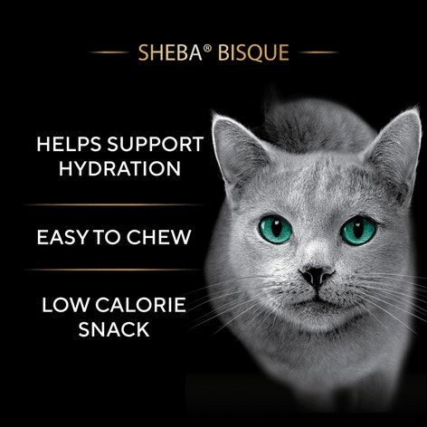 Sheba Bisque Variety Pack Lickable Cat Treats & Cat Food Toppers 1.4 oz Bowl (24 Count) image 1