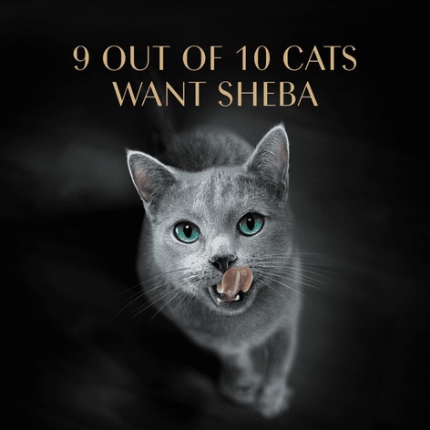 SHEBA® PERFECT PORTIONS™ Premium Paté Savory Chicken Entrée image 1