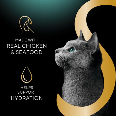 Sheba® Selections Filets in Broth Cat Meal Complement Variety Pack image 1