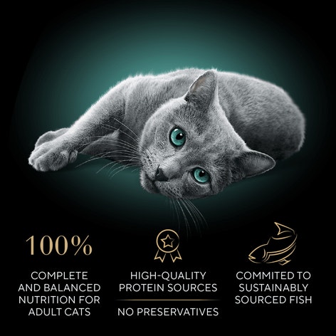 SHEBA® PERFECT PORTIONS™ Cuts in Gravy Roasted Chicken Entrée, Sustainable Salmon Entrée, and Tender Turkey Entrée image 1