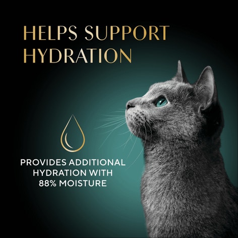 Sheba Bisque Variety Pack Lickable Cat Treats & Cat Food Toppers 1.4 oz Bowl (24 Count) image 1