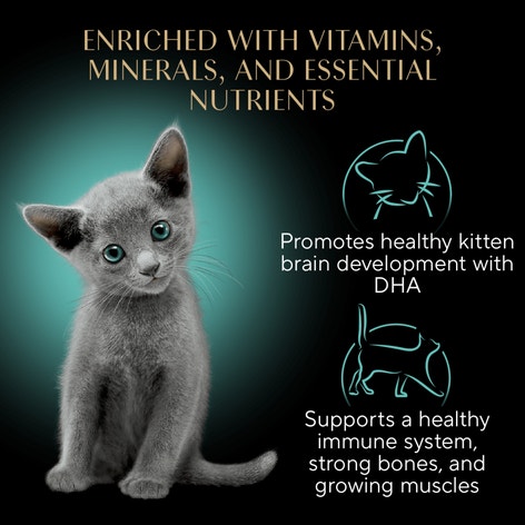 Sheba® Kitten Paté Multipack - Chicken and Salmon image 1
