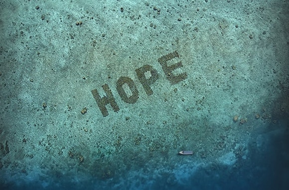 reef in ocean that spells hope and was created from Sheba Hope Grows