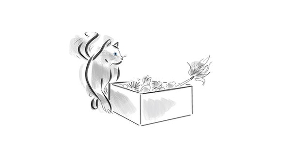 cat-playing-with-box-of-flowers