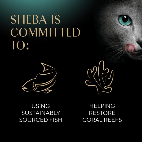 SHEBA® CAT TREATS Meaty Tender Sticks Salmon Flavor image 4