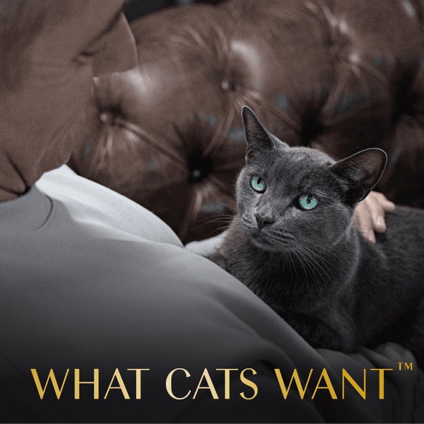 Sheba® Selections Filets in Broth Cat Meal Complement Chicken & Tuna Recipe image 4