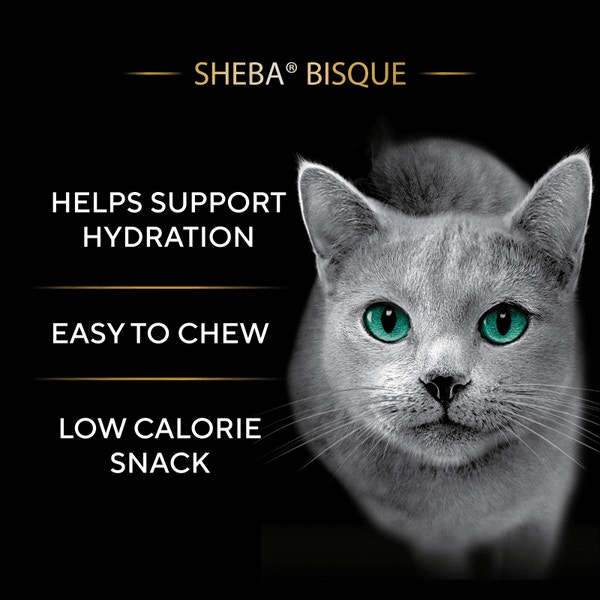 Sheba Bisque Variety Pack Lickable Cat Treats & Cat Food Toppers 1.4 oz Bowl (24 Count) image 2