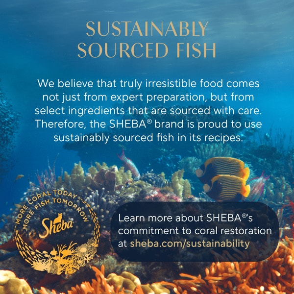 SHEBA® PERFECT PORTIONS™ Cuts in Gravy Roasted Chicken Entrée and  Sustainable Tuna Entrée image 4