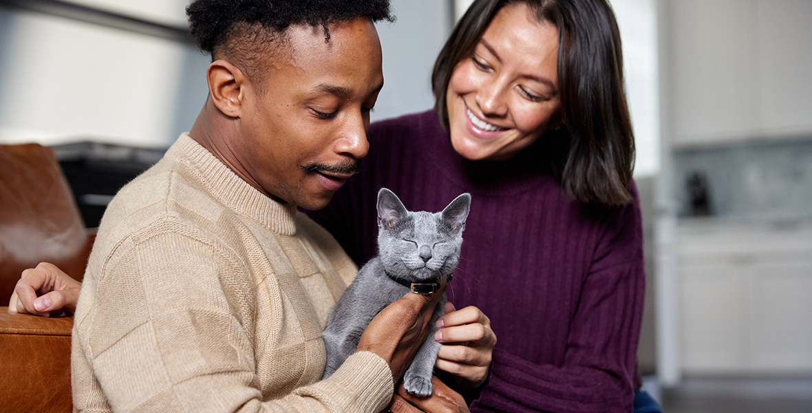 cat being held by two owners