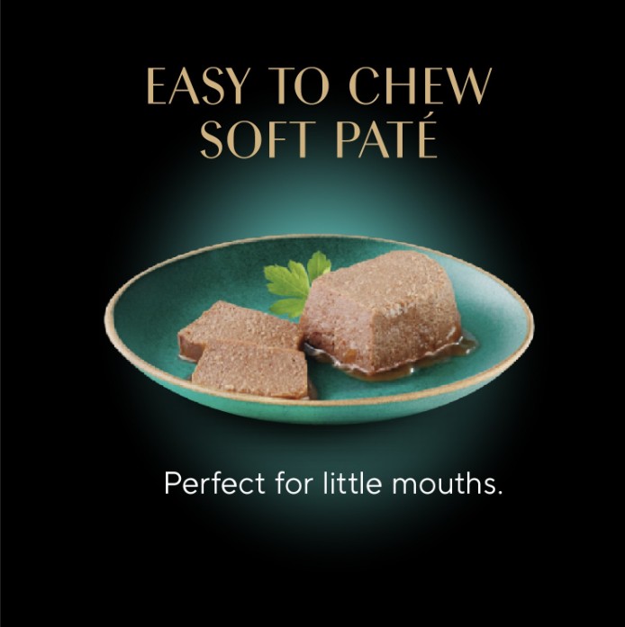 A plate of chicken flavor SHEBA® KITTEN PATE waiting to be gobbled up