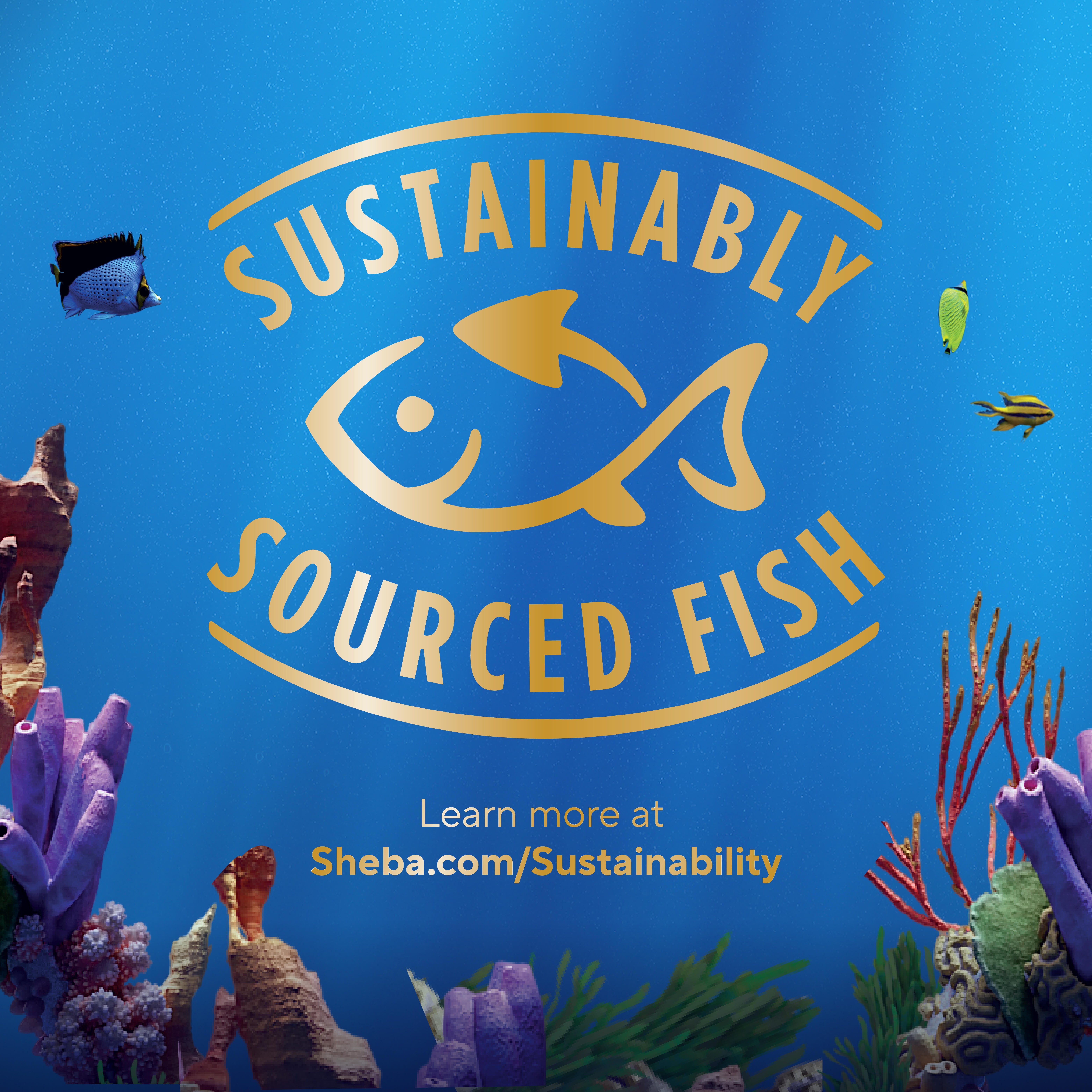 substainably