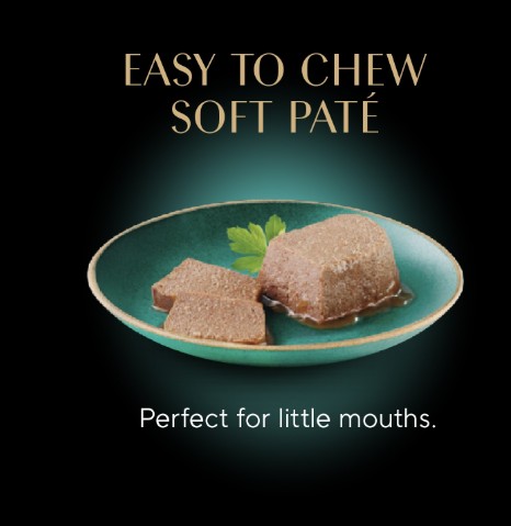 A plate of SHEBA® Kitten Pate waiting to be devoured