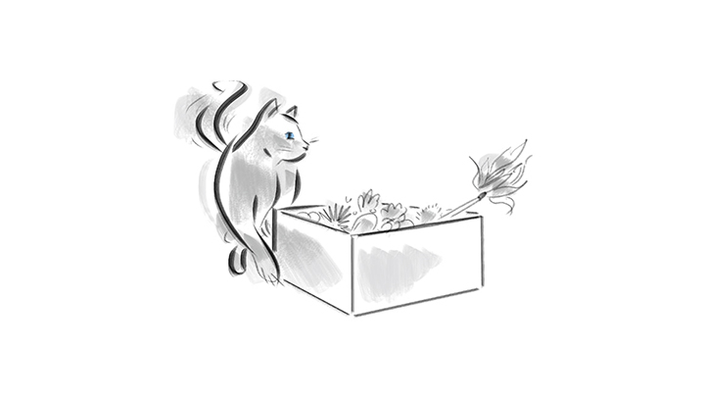 Cat drawing with toy box