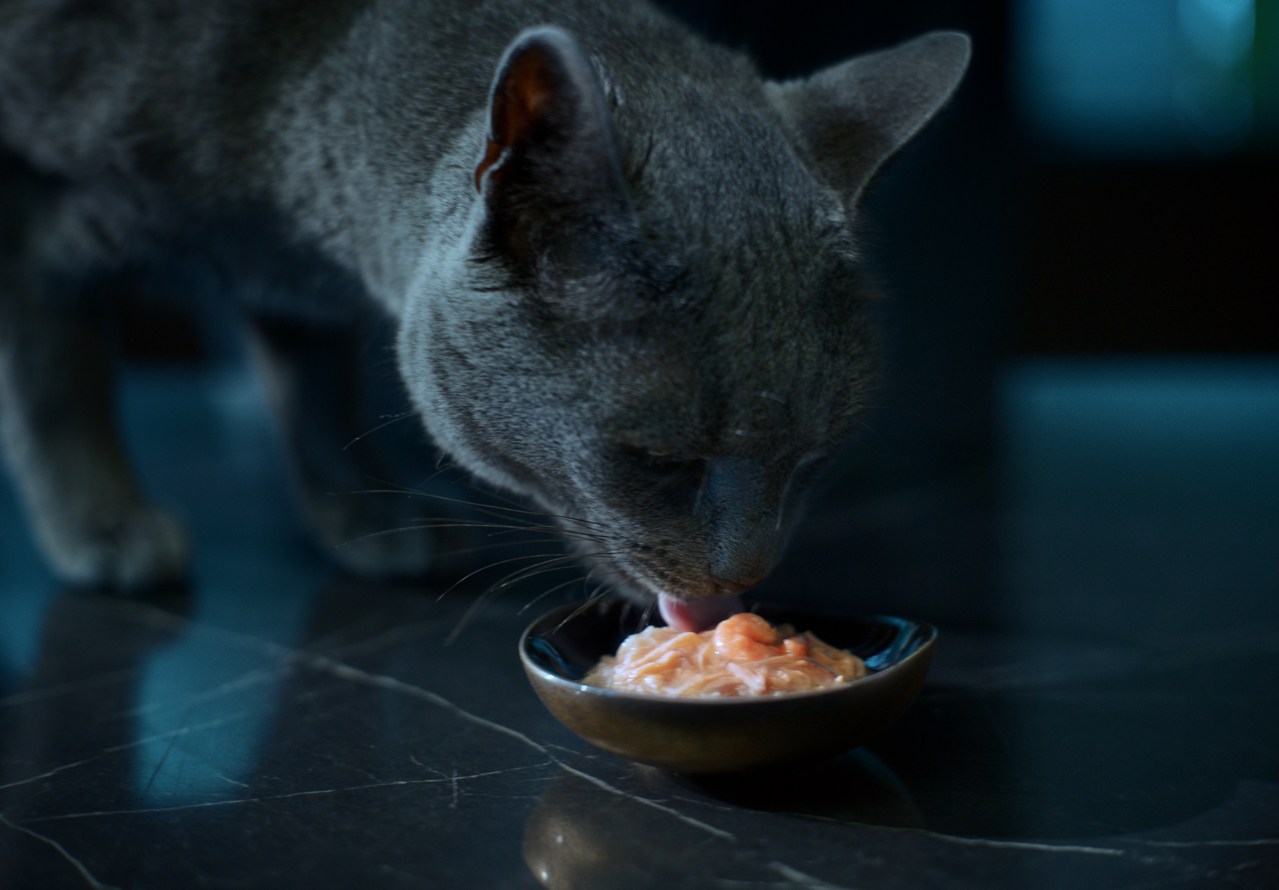 Sheba Stills 4AM Indulgence