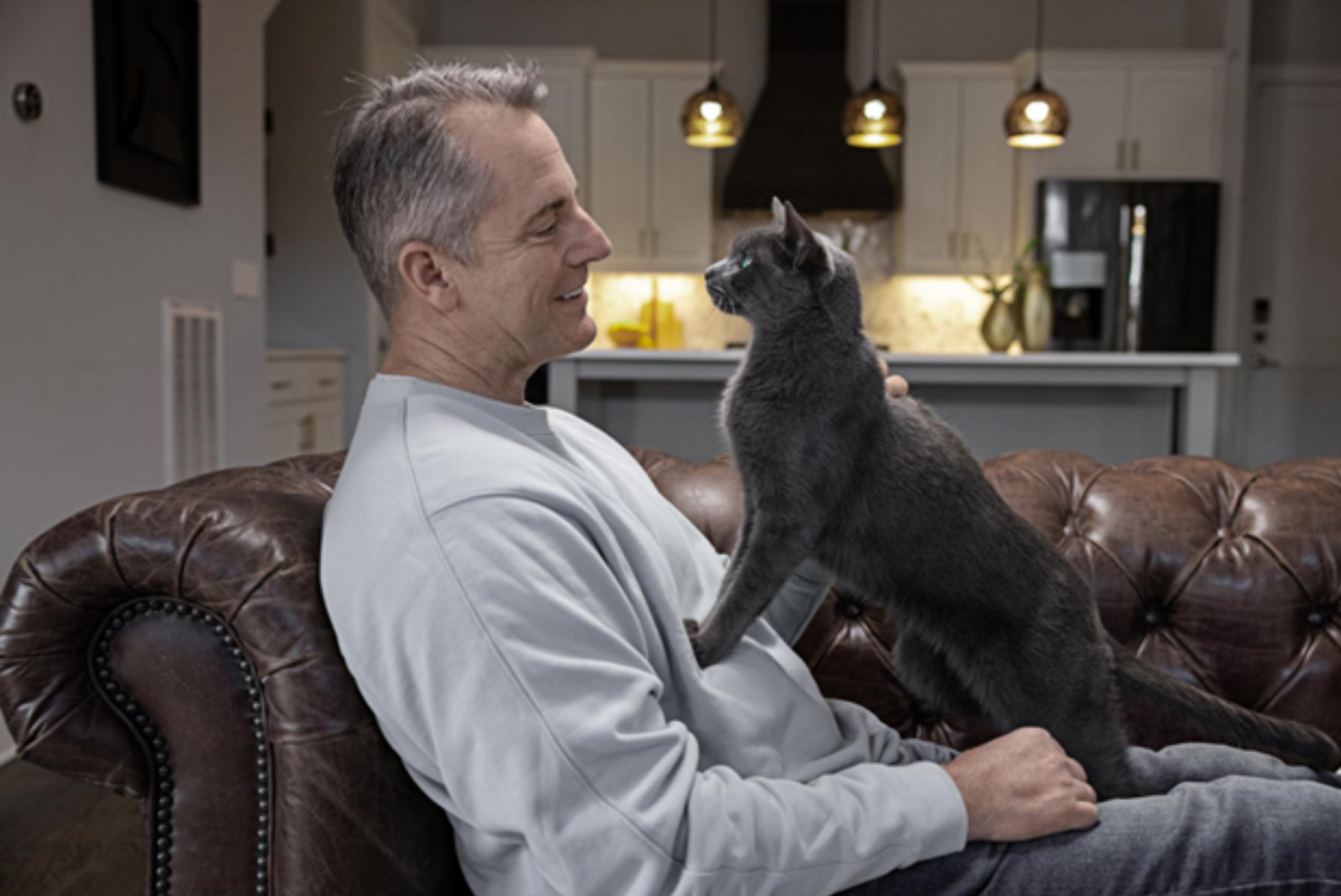 Grey cat kneading a man’s sweatshirt