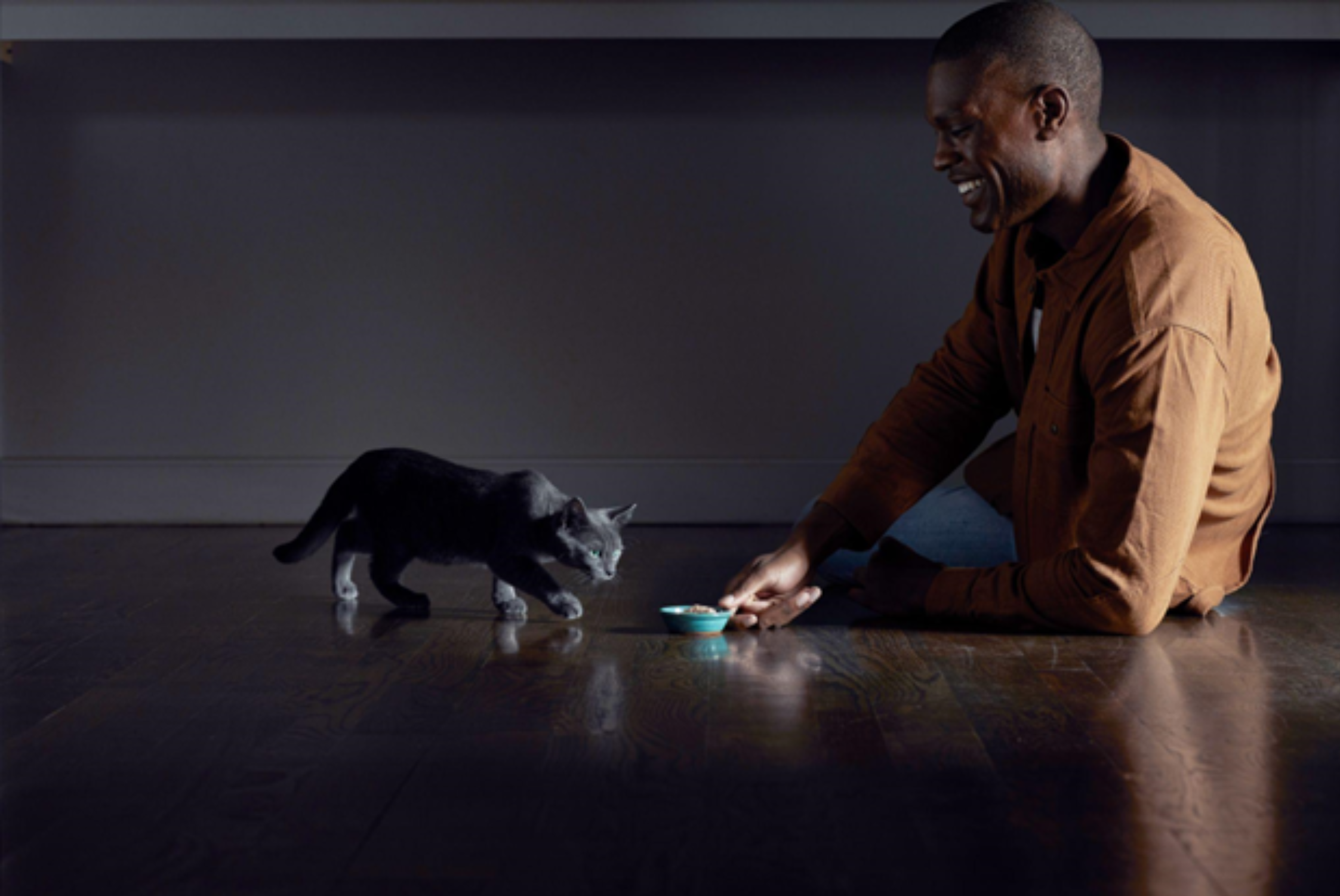 Owner offering food to cat