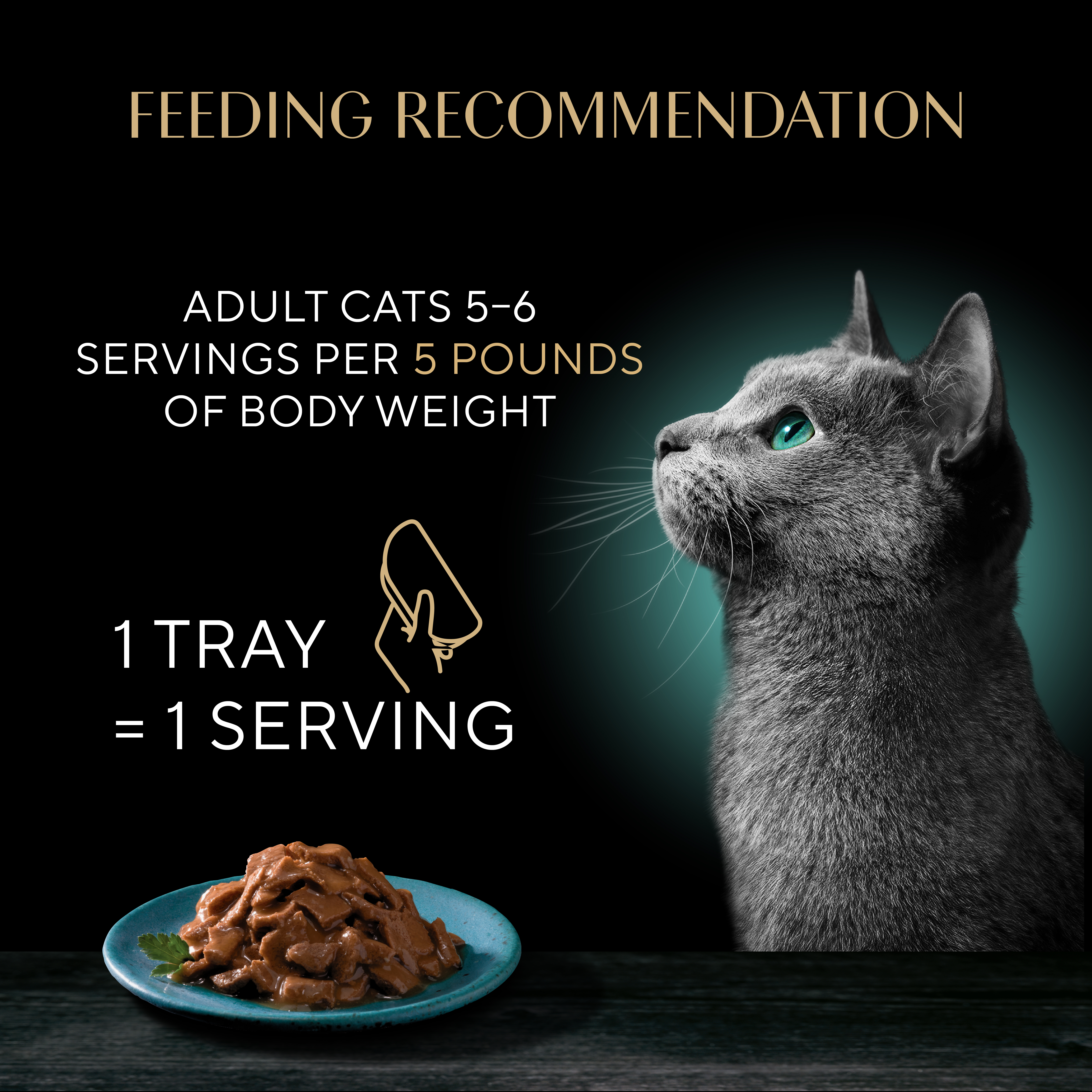 Sheba Grilled in Sauce Adult Wet Cat Food with Flaky Salmon in Gravy, (24) 2.64 oz. Twin-Pack Trays feeding guidelines image