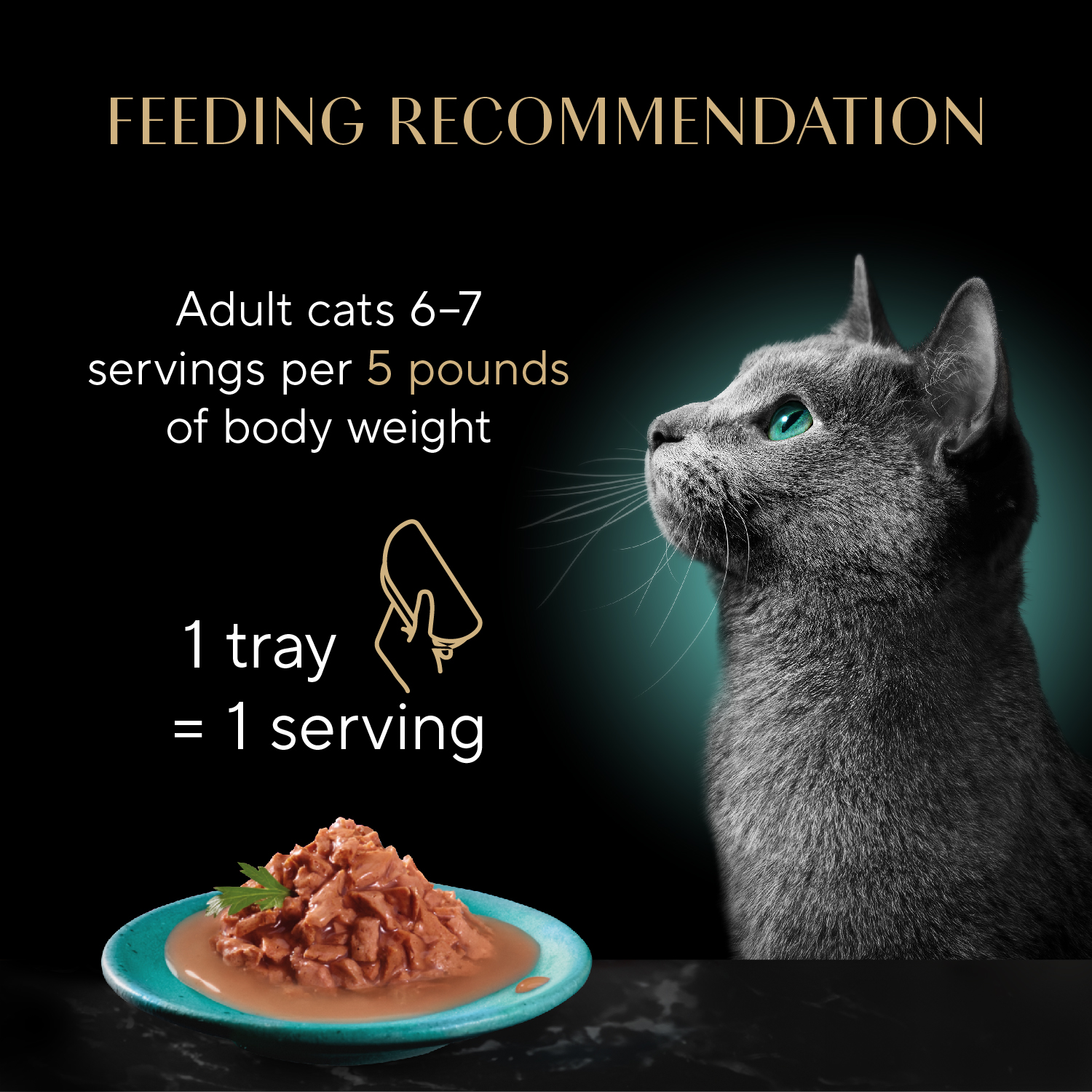 SHEBA® GRAVY INDULGENCE™ Salmon feeding guidelines image