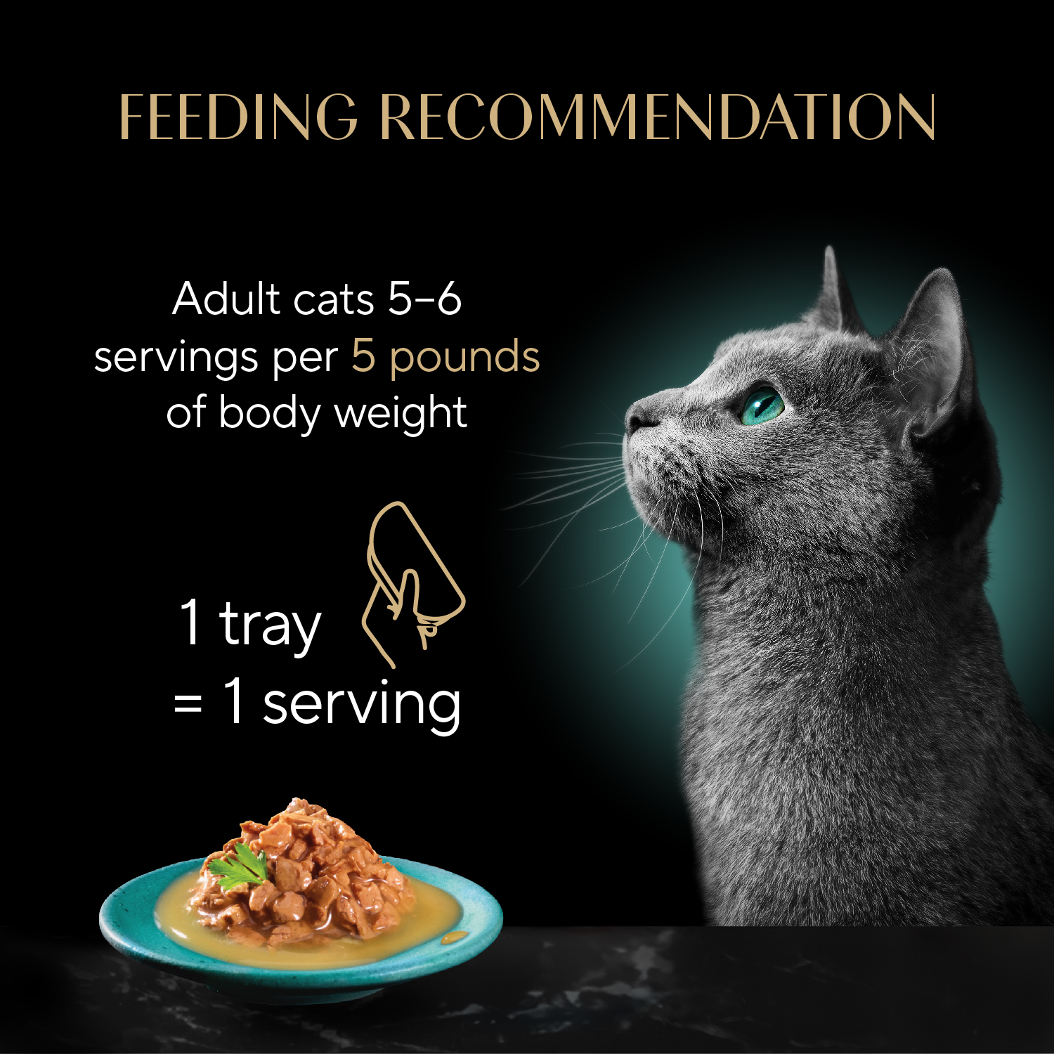 SHEBA® GRAVY INDULGENCE™ Chicken feeding guidelines image