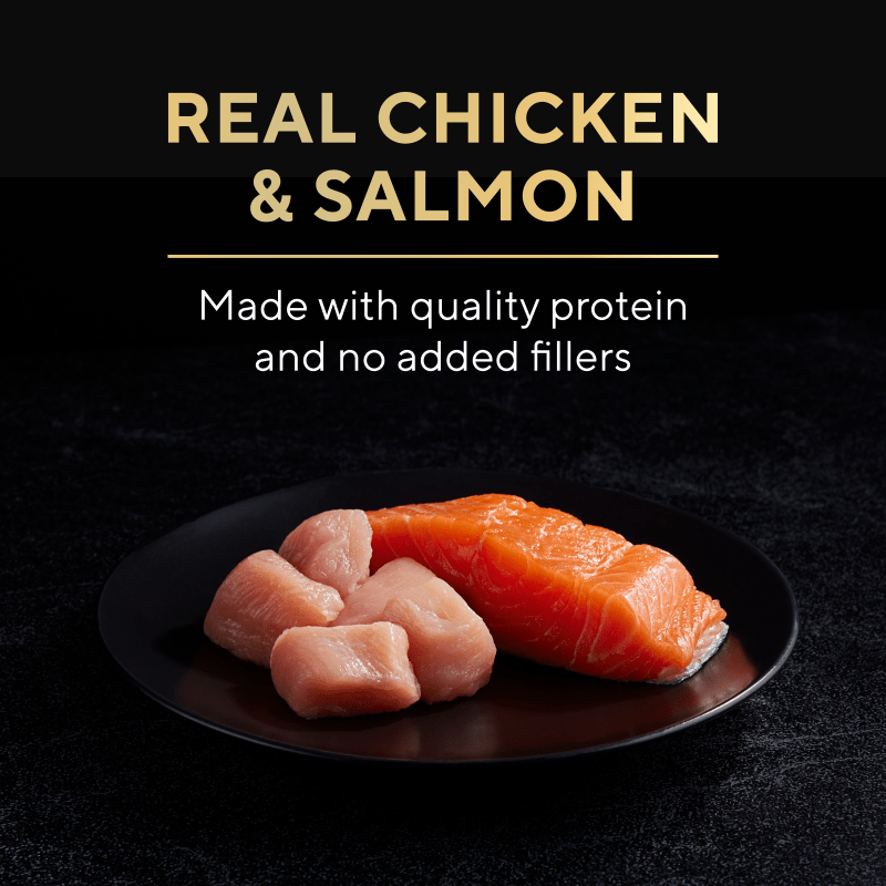 Sheba® Kitten Paté Multipack - Chicken and Salmon benefits image 1