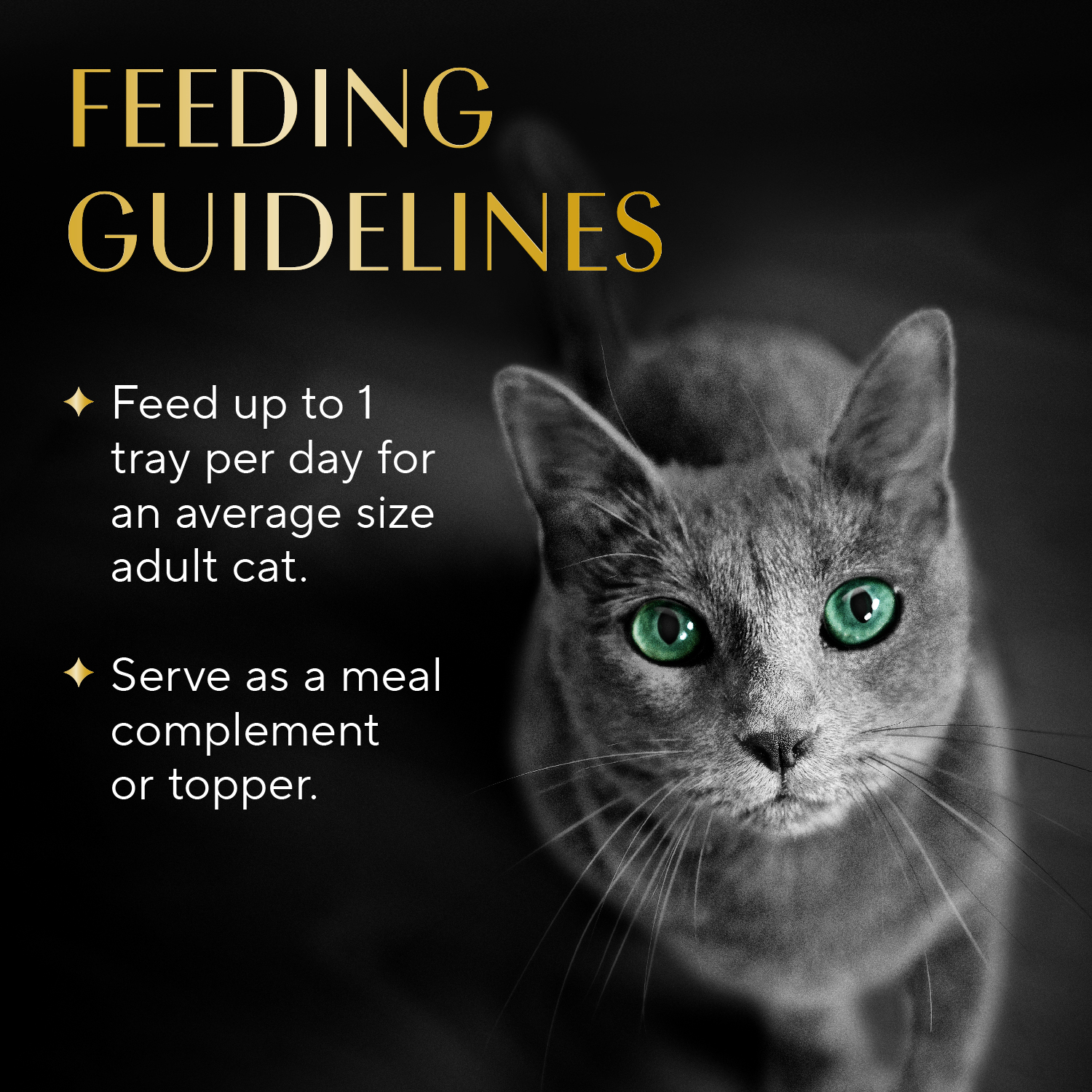 Sheba® Selections Filets in Broth Cat Meal Complement Chicken & Shrimp Recipe feeding guidelines image