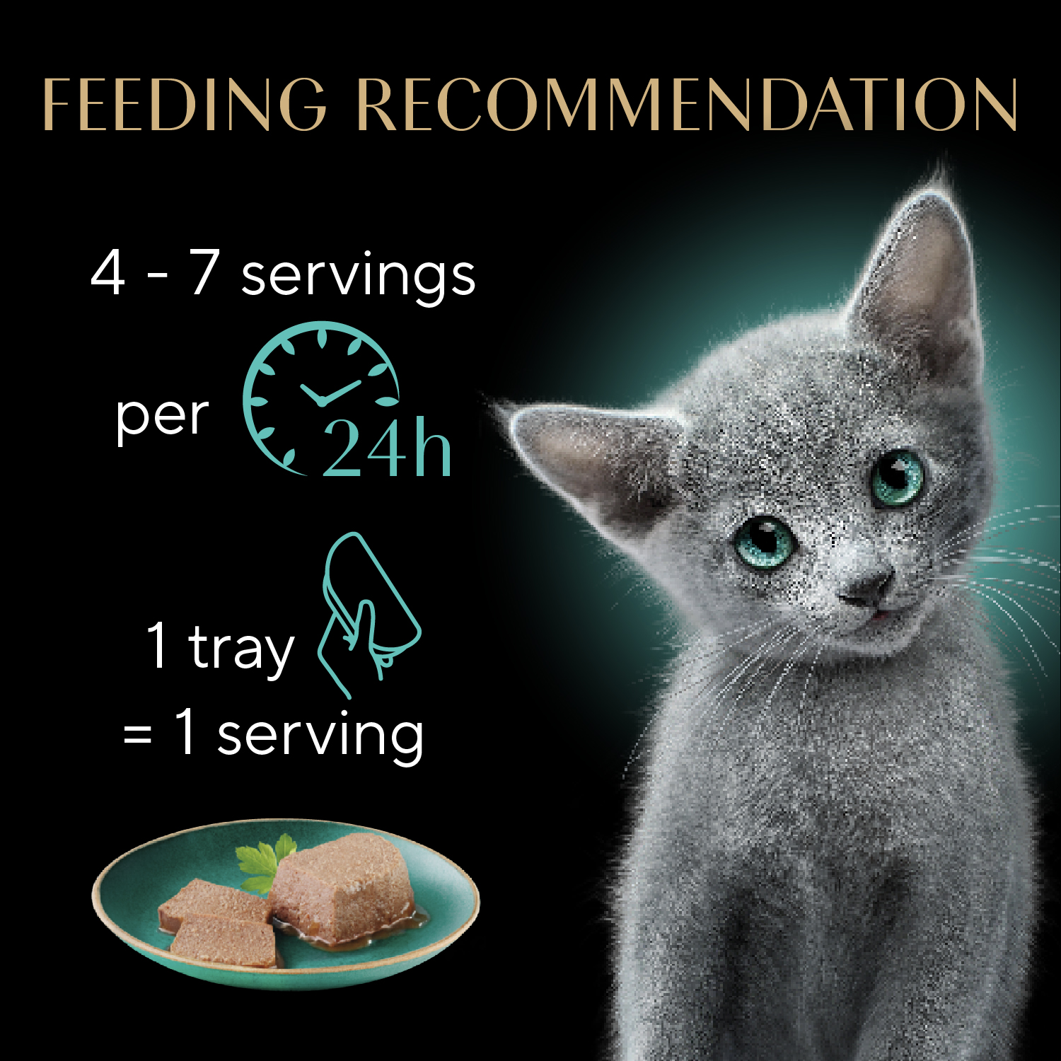 Sheba® Kitten Paté Multipack - Chicken and Salmon feeding guidelines image