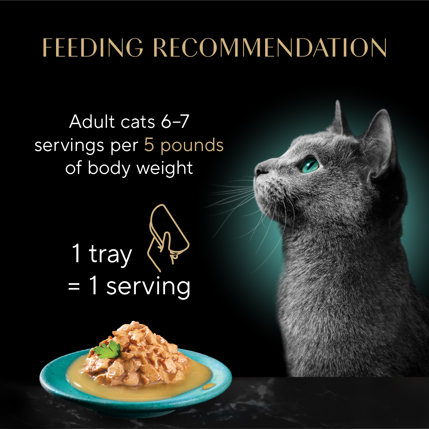 SHEBA® GRAVY INDULGENCE™ White Fish feeding guidelines image