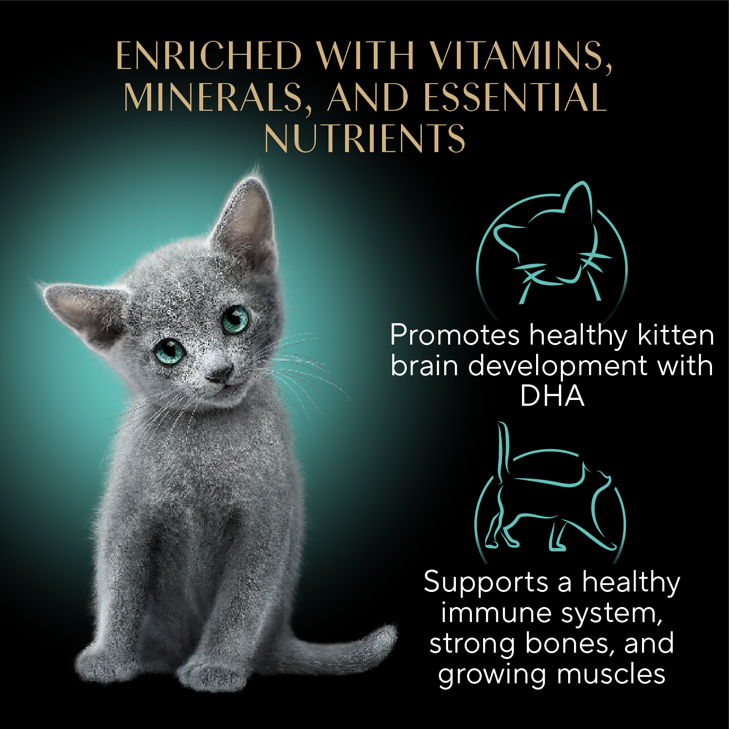 Sheba® Kitten Paté Multipack - Chicken and Salmon guaranteed analysis image